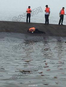 星船内部爆料最新消息,最新爆料震撼来袭！